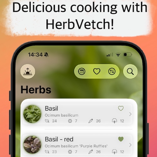 HerbVetchIcon
