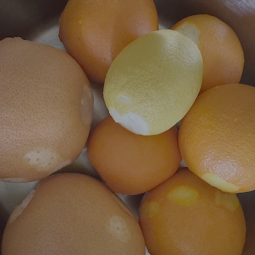 Citrus Fruit Jam - Making of 2